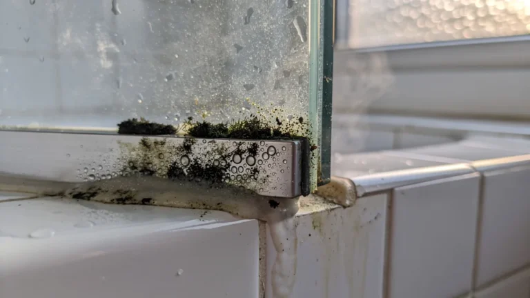 Vue détaillée des moisissures sur le joint de douche mal séché dans une salle de bain éclairée naturellement